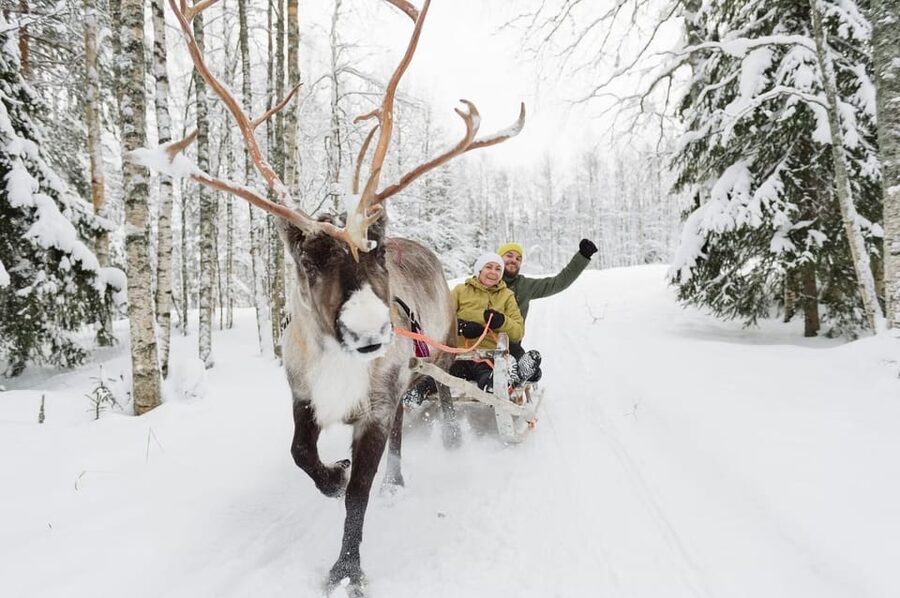 Reindeer Farm Visit with Sleigh Ride - Entering the Reindeer Farm: Feeding Time That Feels Personal