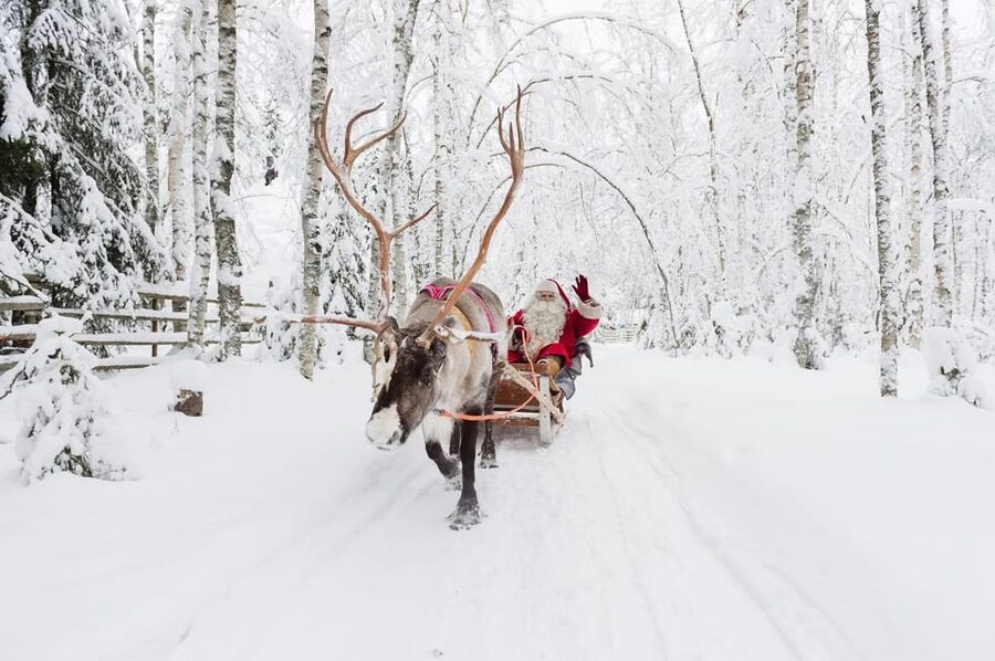 Reindeer Farm Visit with Sleigh Ride - Snacks and Hot Drinks: Included, but Watch Expectations