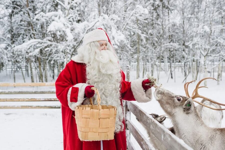 Reindeer Farm Visit with Sleigh Ride - Price and Value: Is $140 for 90 Minutes Fair?