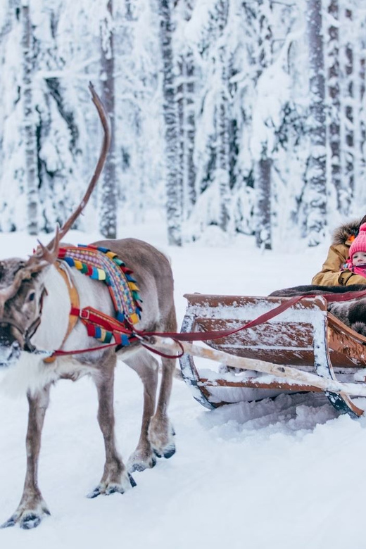 Reindeer Farm Visit with Sleigh Ride - Meeting Point in Rovaniemi, and Why Logistics Matter