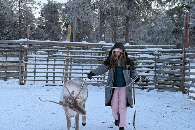 Reindeer Husbandry with Snowmobile Sleigh Ride and Cabin Lunch - The Snowmobile Sleigh Ride: Scenic, Slow, and Built for Wonder