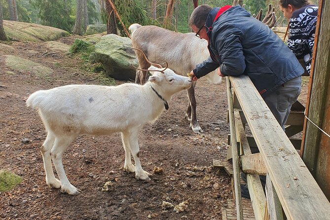 Reindeer Park Adventure - Price and value check: what is included, what costs extra