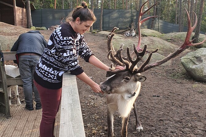 Reindeer Park Adventure - Should you book the Reindeer Park Adventure from Helsinki?