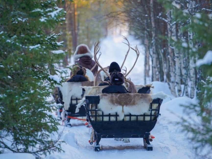 Reindeer Safari at a 200-Year-Old Farm & Long Sled Ride - Cold weather tips that can save your trip