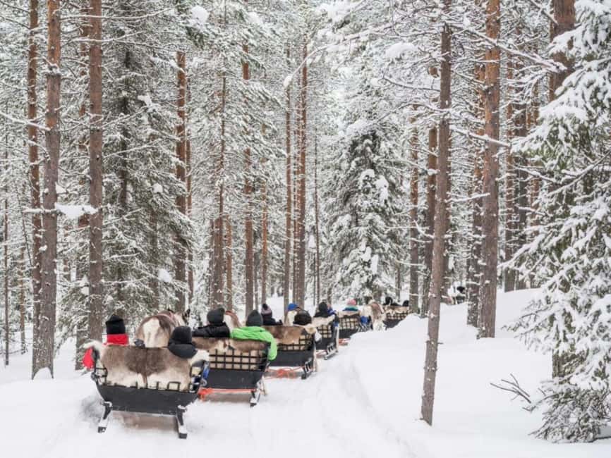 Reindeer Safari at a 200-Year-Old Farm & Long Sled Ride - Price and value: what you’re really paying for at $260