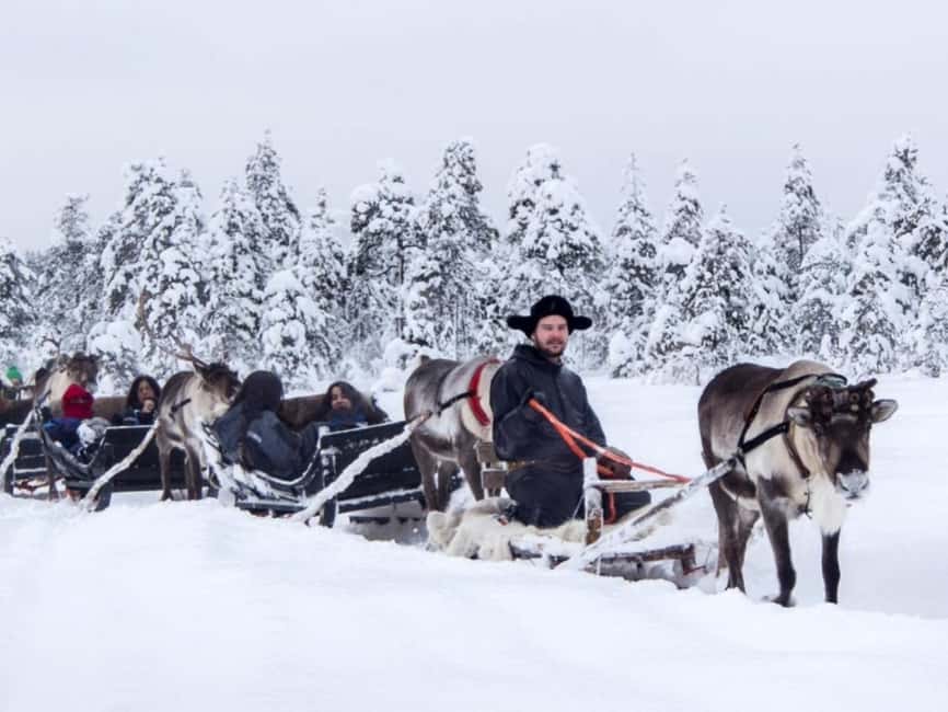 Reindeer Safari at a 200-Year-Old Farm & Long Sled Ride - Things to watch for before you go