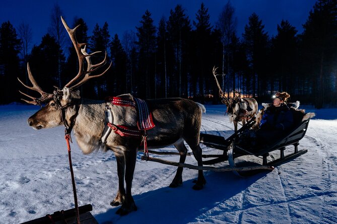 Reindeer Sleigh Ride Across the Night in Apukka Resort Rovaniemi - Inside the 3-hour reindeer sleigh route