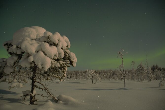 Reindeer Sleigh Ride Across the Night in Apukka Resort Rovaniemi - Northern Lights chances in a dark, quiet forest