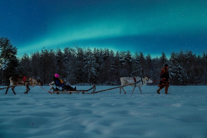 Reindeer Sleigh Ride Across the Night in Apukka Resort Rovaniemi - Should you book this Apukka night ride?