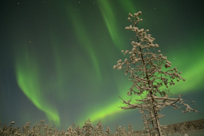 Reindeer Sleigh Ride Across the Night in Apukka Resort Rovaniemi - FAQ