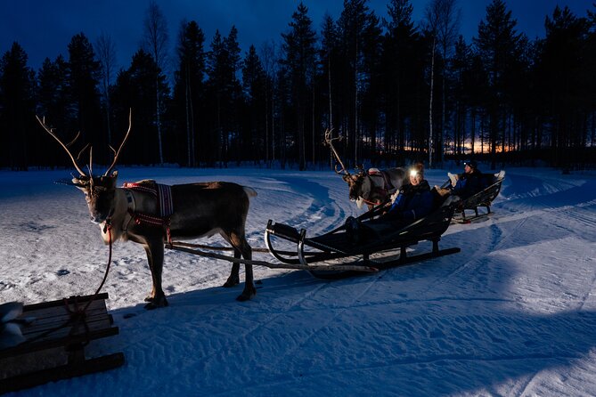 Reindeer Sleigh Ride Across the Night in Apukka Resort Rovaniemi - Staying warm: thermal wear, blankets, and layer strategy
