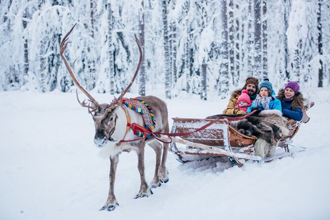 Reindeer Sleigh Ride and Farm Experience from Rovaniemi - Reindeer sleigh rides in Rovaniemi, minus the chaos