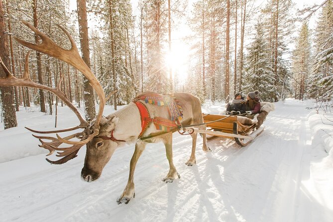 Reindeer Sleigh Ride and Farm Experience from Rovaniemi - The reindeer sleigh ride: plan for a quick loop