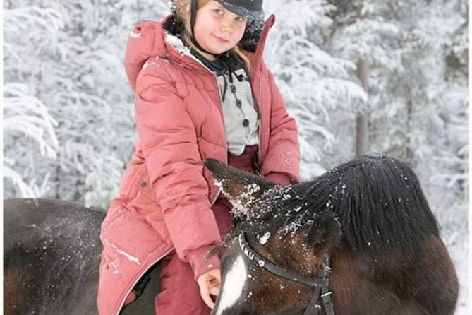 Riding Tour with Finnhorses at Santa Claus Village - Why Finnhorses from Santa Claus Village Feel Different in Winter
