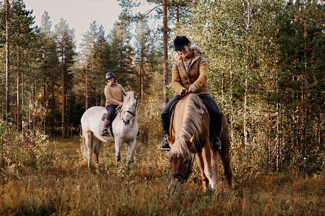 Riding Tour with Finnhorses at Santa Claus Village - What to Wear (and Bring) So You’re Not Miserable