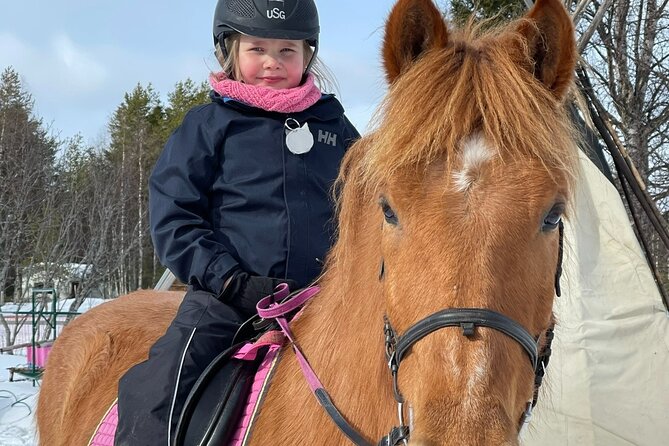 Riding Tour with Finnhorses at Santa Claus Village - Who This Ride Suits Best (and Who Might Rethink It)
