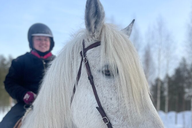 Riding Tour with Finnhorses at Santa Claus Village - Getting to Aurora Horses, and Why That 10-Minute Walk Matters