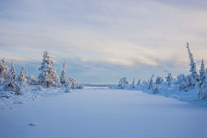 Riisitunturi wilderness adventure - Lunch, Hot Drinks, and the Pace That Matches Winter Reality