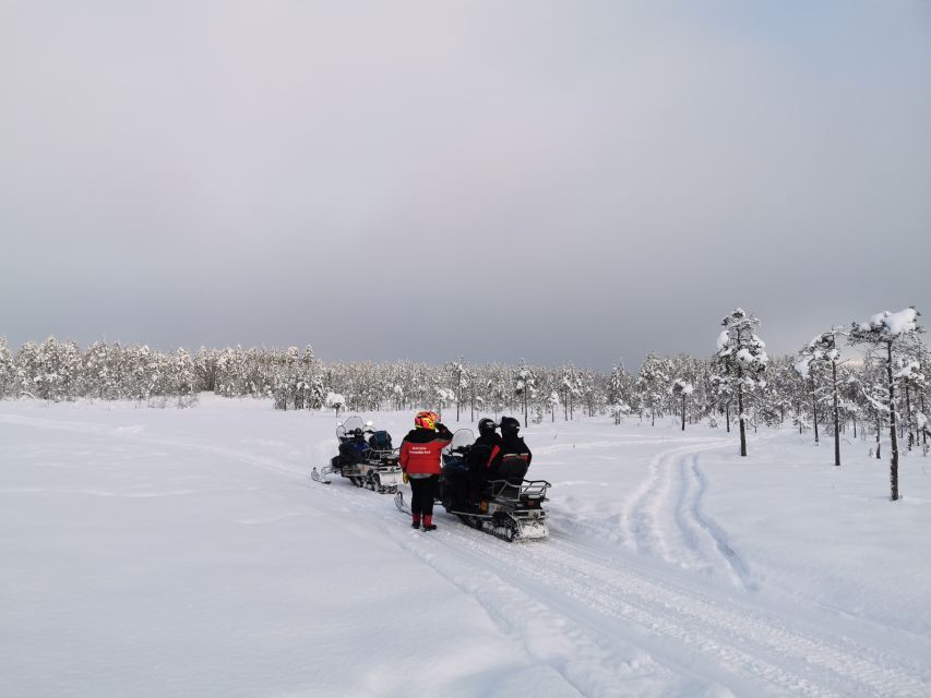 Rovaniemi: 3-Hour Snowmobile Safari in Lapland - Safety, insurance, and the driving responsibility you should be ready for