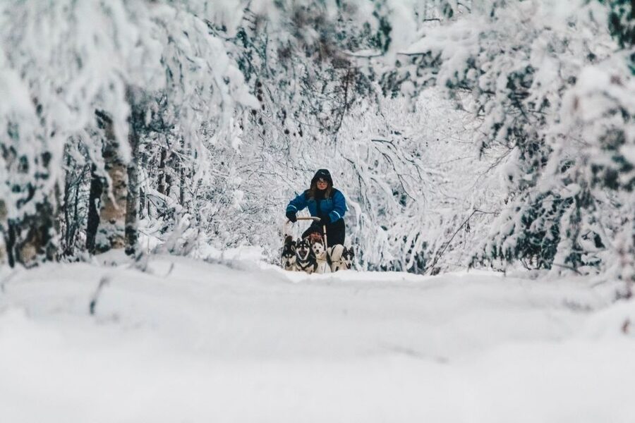 Rovaniemi: Apukka Husky Adventure - Pickup, coach transfer, and how the timing really feels