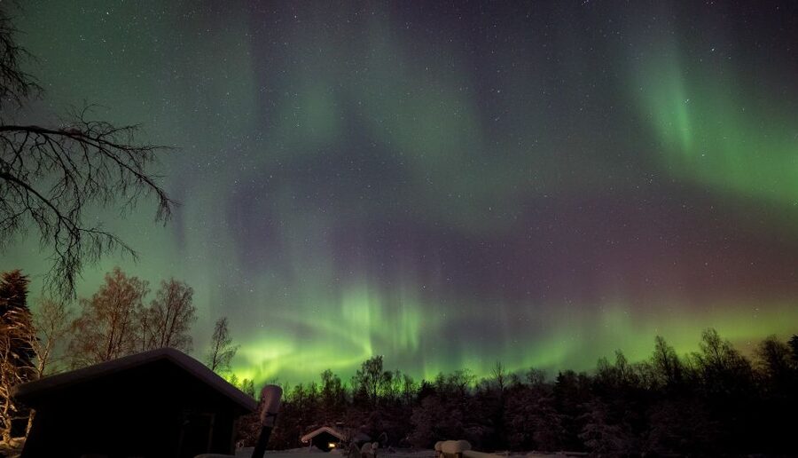 Rovaniemi: Apukka Reindeer Sleigh Ride at Night - Night Reindeer Sledding From Apukka: What Makes It Feel Like Lapland