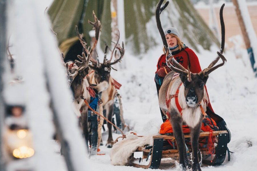 Rovaniemi: Apukka Reindeer Sleigh Ride at Night - The Sled Ride Through the Finnish Forest: Quiet, Stars, and Real Hoof Sounds