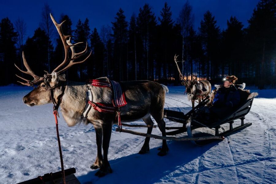 Rovaniemi: Apukka Reindeer Sleigh Ride at Night - The Bonfire Hut Stop: Hot Drink, Stories, and Warm Waiting Time