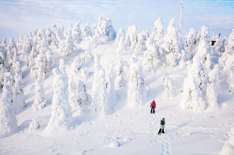 Rovaniemi: Arctic Animals Sleigh Rides and Wildlife Zoo - The forest lunch: a Lappish buffet break from the cold