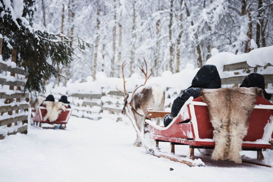 Rovaniemi: Arctic Circle Highlights by Snowmobile - Husky sleigh ride: 500 meters of speed and personality