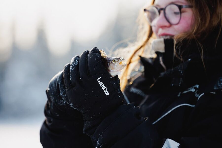 Rovaniemi: Arctic Circle Ice Fishing Experience - What Fish You Might Catch, Trout, Rainbow Trout, Perch, and Whitefish
