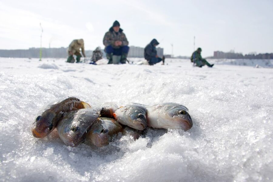 Rovaniemi: Arctic Circle Ice Fishing Experience - Price and Value for $104, Gear, Warm Clothing, Pickup, and Food Included
