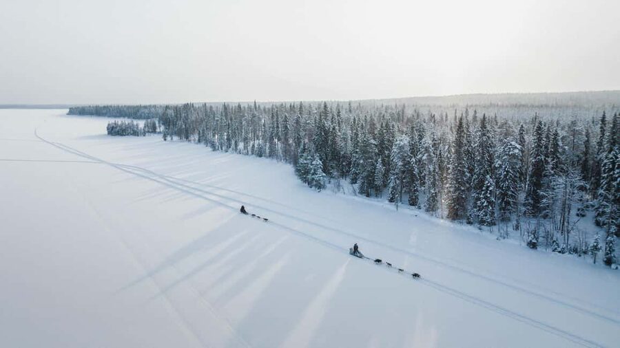 Rovaniemi: Arctic Circle Long Trail Husky Adventure - Meet the Huskies First, Then Learn Their Rhythm