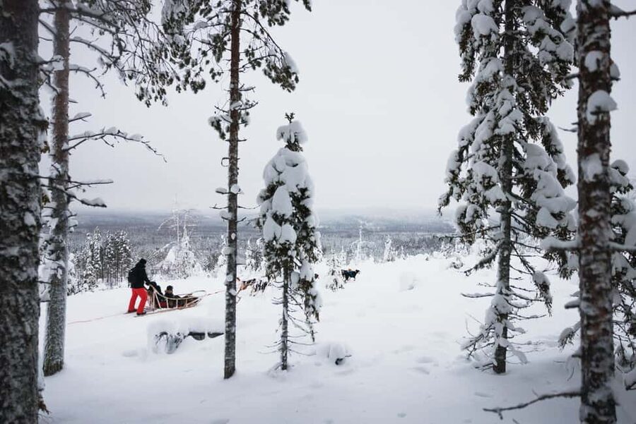 Rovaniemi: Arctic Circle Long Trail Husky Adventure - Warm Drinks and Husky Cuddles After the Sled Run