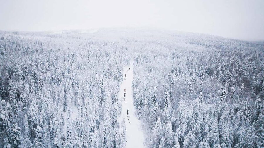 Rovaniemi: Arctic Circle Long Trail Husky Adventure - Should You Book the Arctic Circle Long Trail Husky Adventure?