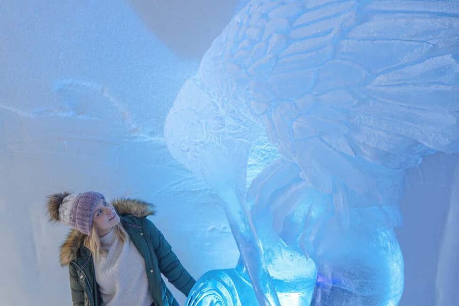 Rovaniemi: Arctic Snow Hotel Tour and Snow Sauna Experience - Snow sauna and Finnish sauna: steamy warmth in real ice