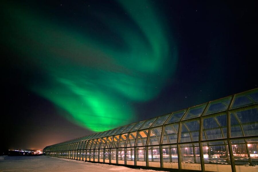 Rovaniemi: Arktikum Science Centre and Museum Entry Ticket - Key things to notice before you go