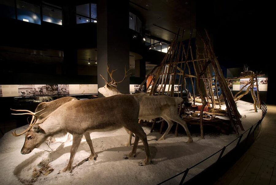Rovaniemi: Arktikum Science Centre and Museum Entry Ticket - The Arctic Seasons film: a handy bridge between exhibits and outdoors