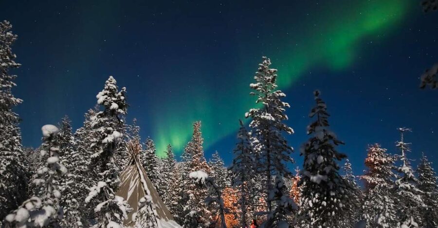 Rovaniemi: Aurora Borealis and Picnic - Key things that make this safari worth your time