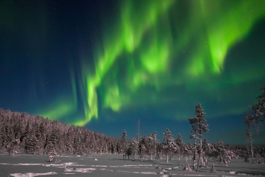 Rovaniemi: Aurora Borealis and Picnic - Aurora Borealis is unpredictable, so focus on what you can control