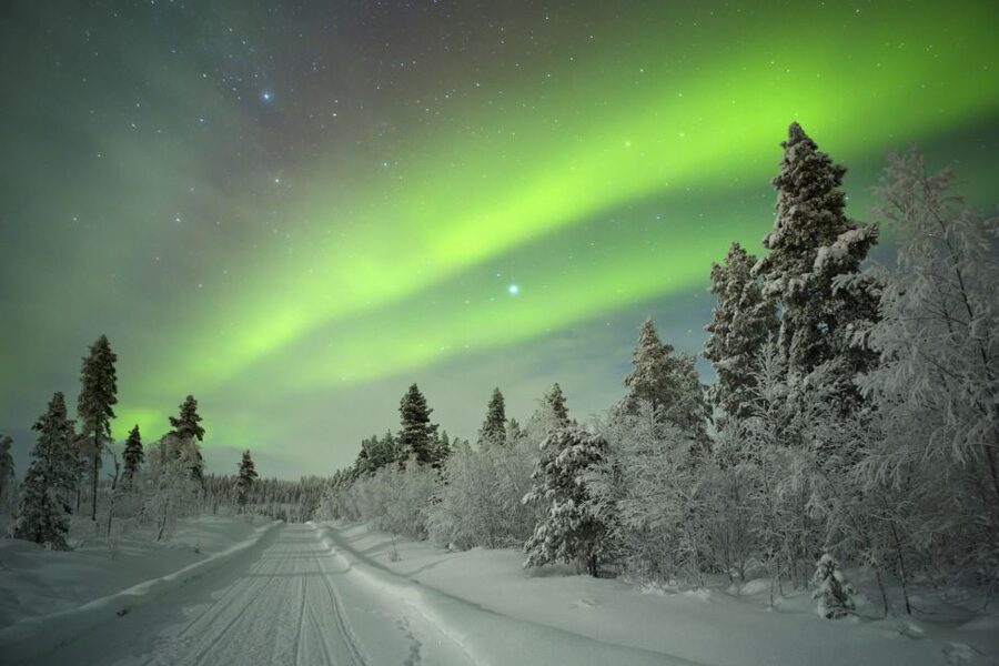 Rovaniemi: Aurora Borealis Snowmobile Safari with Campfire - Why This Aurora Snowmobile Safari Feels Worth the Night