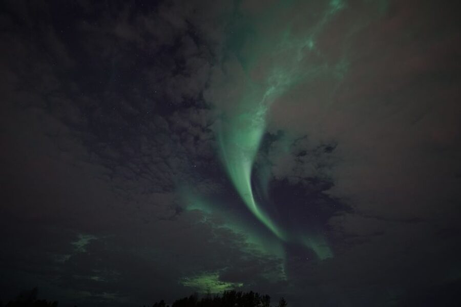 Rovaniemi: Aurora Borealis Tour - Price and Value: Is $135 a Smart Use of Your Time?