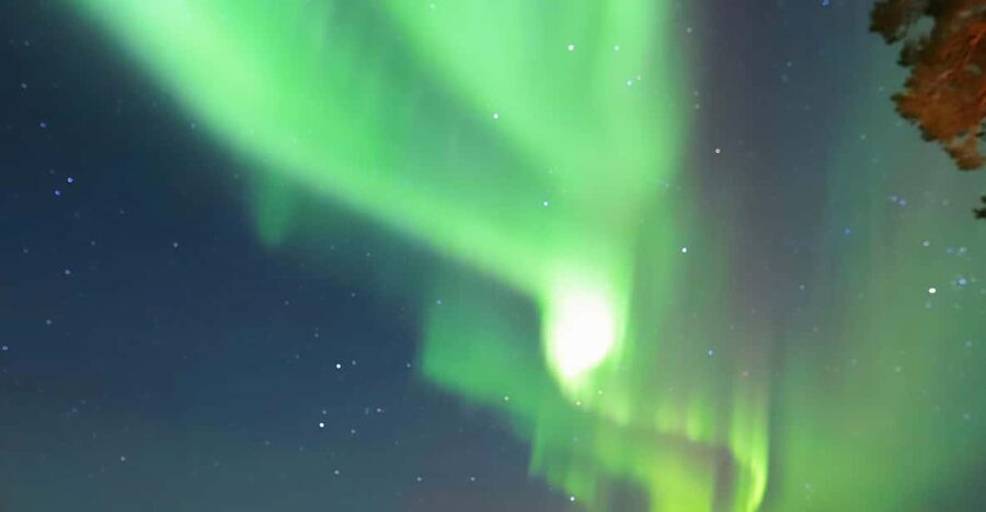 Rovaniemi: Aurora Borealis Trip – Autumn - Key points to know before you go