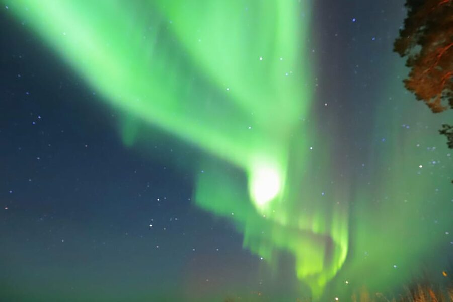 Rovaniemi: Aurora Borealis Trip – Autumn - Who should book this aurora barbecue trip