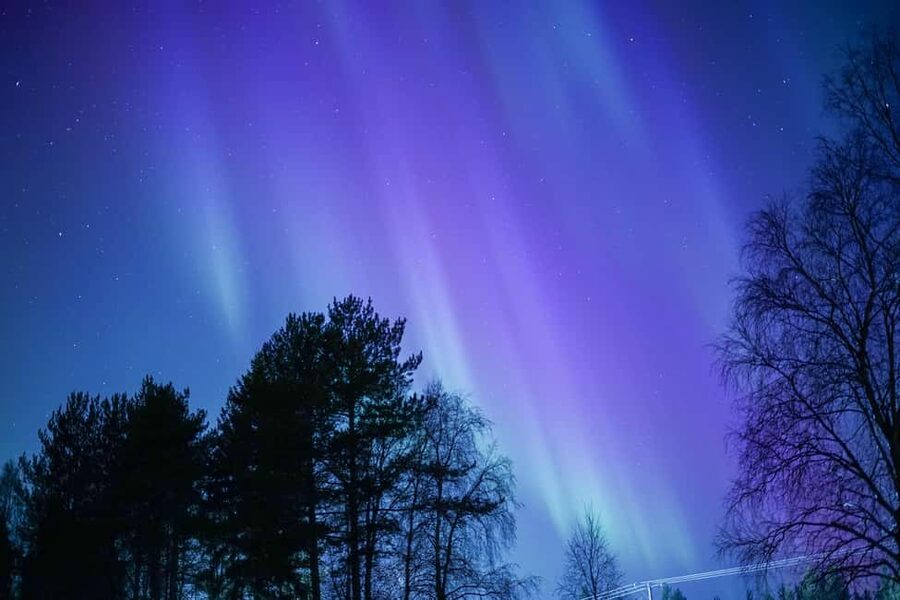 Rovaniemi: Aurora hunting and a fireside BBQ experience - Price and value: what $112 buys you in the Arctic