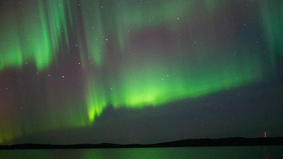 Rovaniemi: Aurora hunting and a fireside BBQ experience - Comfort, clothing, and rules that keep things safe