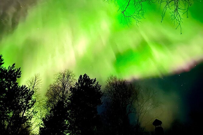 Rovaniemi: Aurora Hunting & Photography Tour - How the guide helps with aurora photos using your camera and phone