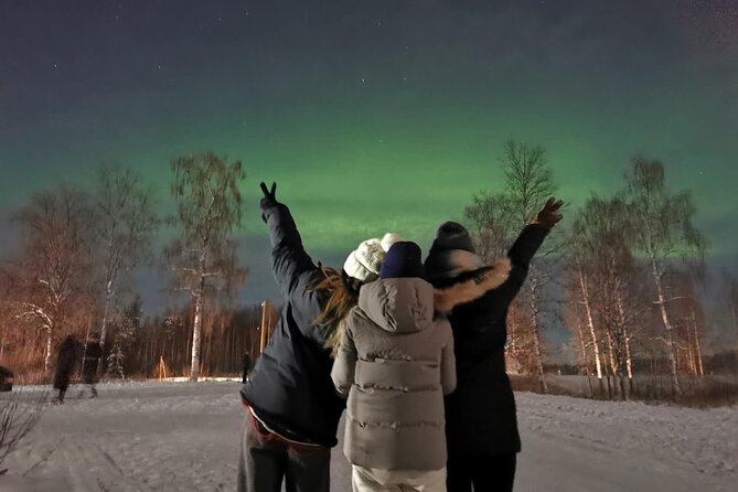 Rovaniemi: Aurora Hunting & Photography Tour - Price and value: what you really get for about $200