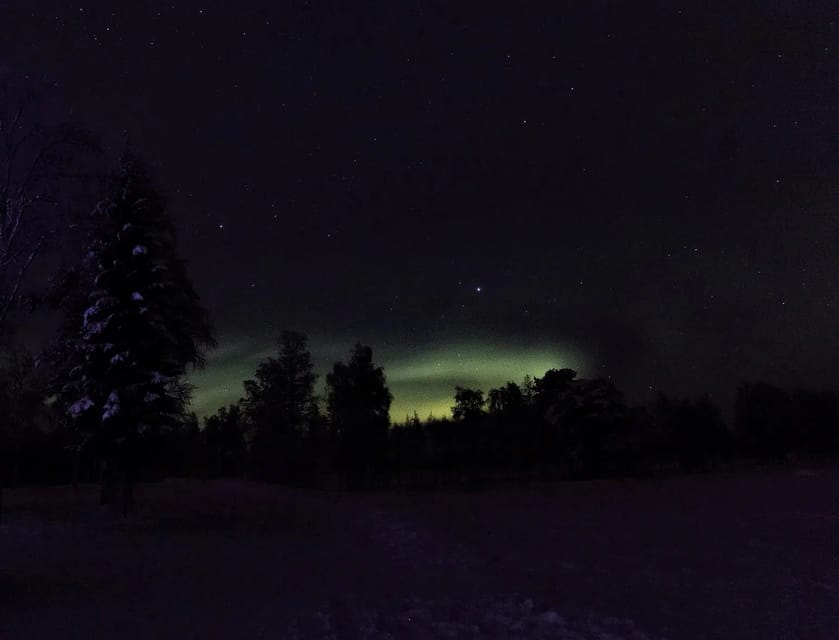 Rovaniemi: Aurora Hunting Tour in the Forest with Hot Drinks - The Prime Aurora Window, 9 PM to Midnight, and Why It Matters