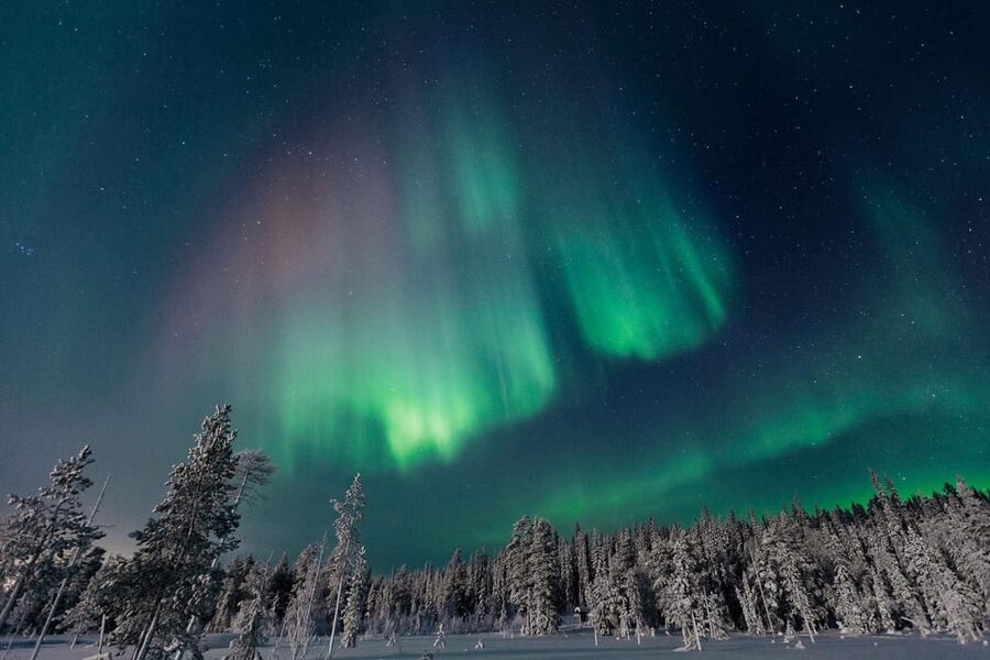 Rovaniemi: Aurora Hunting Tour in the Forest with Hot Drinks - Where You’ll Meet and How Pickup Works in Rovaniemi