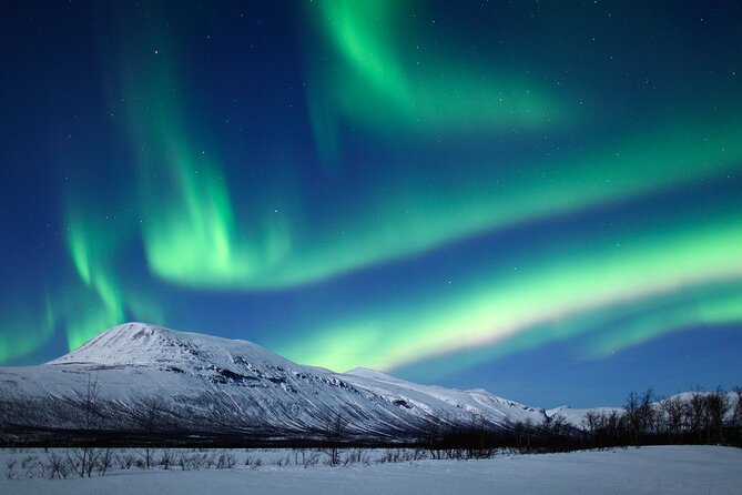 Rovaniemi Aurora Hunting Tour - Where the guide takes you, and why it improves your odds